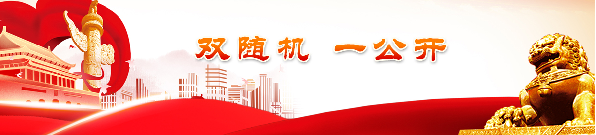 雙隨機(jī) 一公開