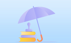 知識(shí)產(chǎn)權(quán)保護(hù)