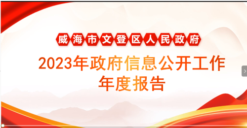 動漫動畫|威海市文登區(qū)人民政府2023年政府信息公開工作年度報告